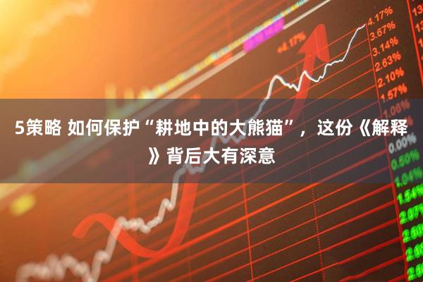 5策略 如何保护“耕地中的大熊猫”，这份《解释》背后大有深意