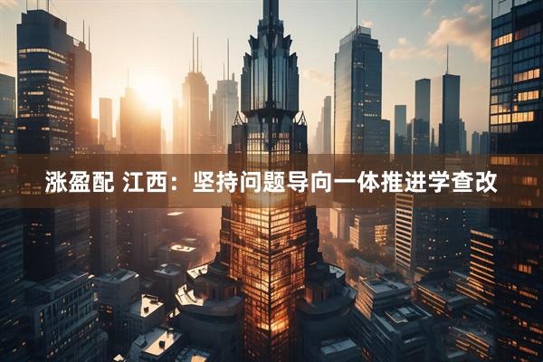 涨盈配 江西：坚持问题导向一体推进学查改