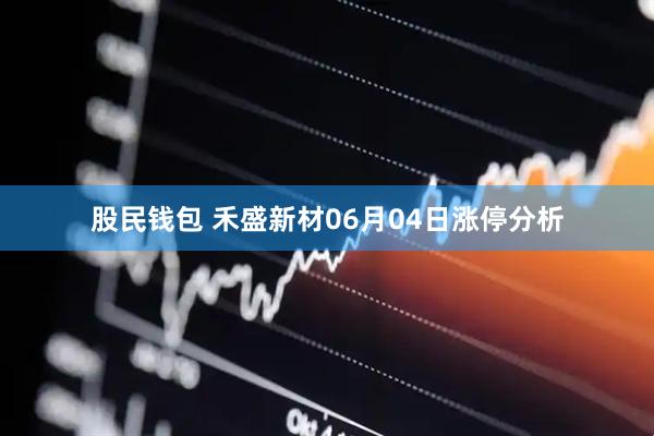 股民钱包 禾盛新材06月04日涨停分析
