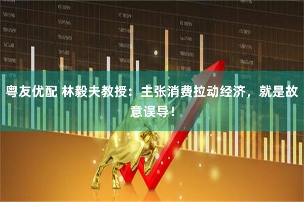 粤友优配 林毅夫教授：主张消费拉动经济，就是故意误导！
