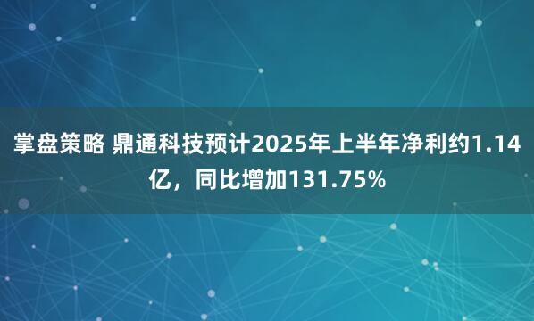 掌盘策略 鼎通科技预计2025年上半年净利约1.14亿，同比增加131.75%