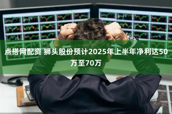 点搭网配资 狮头股份预计2025年上半年净利达50万至70万