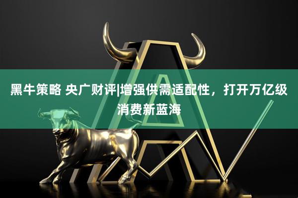 黑牛策略 央广财评|增强供需适配性，打开万亿级消费新蓝海