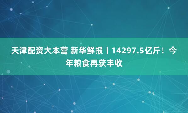 天津配资大本营 新华鲜报丨14297.5亿斤！今年粮食再获丰收